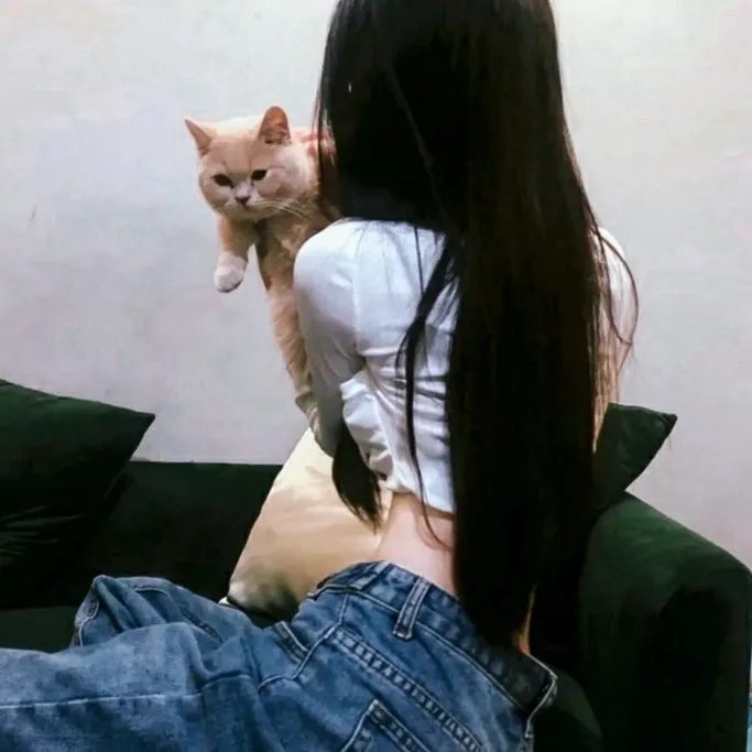从容的快板
